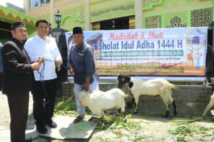 Vandiko Gultom Serahkan Hewan Qurban 7 Ekor Kambing ke Umat Muslim di Kabupaten Samosir