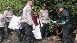 Kapolda Metro Jaya dan Pasukannya Bersihkan Sampah di Kawasan Mangrove Muara Angke