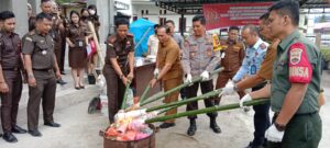 Staff Ahli Bupati Samosir Hadir Dalam Pemusnahan Barang Bukti Perkara di Kejari Samosir