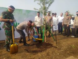 Penghijauan Sejak Dini Penanaman 100.000 Pohon Untuk Berjuta Kehidupan Cegah Bencana