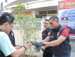 Wanita Pelaku Penanam Pohon Ganja di Dalam Rumah Terungkap