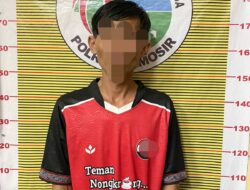 Sat Reskrim Narkoba Polres Samosir Menangkap Penjual Narkotika Jenis Ganja di Nainggolan