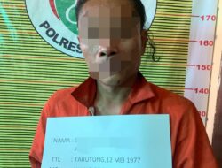 Tanam Ganja di Pot Bunga, Polres Samosir Amankan Seorang Laki-laki di Simanindo