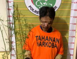 Polres Samosir Tangkap Pemilik dan Penanam Diduga Ganja di Desa Tanjung Bunga
