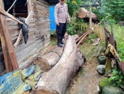 Polsek Onanrunggu Cek TKP Gangguan Alam Pohon Tumbang dan Longsor yang Mengganggu Aktivitas Warga