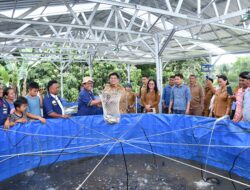 Panen Perdana Ikan Nila Sistim Bioflok, Vandiko Harap Beralih KJA Ke-Kolam Darat