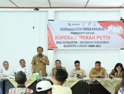 Wakil Bupati Samosir Bersama Sekretaris Deputi Kementerian Koperasi RI Monitoring Pembentukan Koperasi Merah Putih