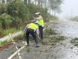 Polres Samosir Bersihkan Pohon Tumbang Yang Mengganggu Arus Lalu Lintas di Jalan Umum Dolok Sanggul – Sidikalang
