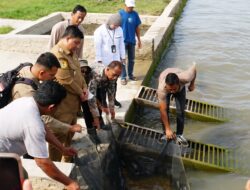 Jaga Keseimbangan Ekosistem Alam, LKBN ANTARA Tabur 3.000 Benih Ikan Mas di Danau Toba