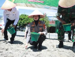 Polres Samosir dan Polsek Jajaran Tanam Jagung Serentak Kuartal IV Dukung Ketahanan Pangan Nasional