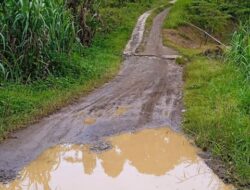 Jalan Menuju SMAN 1 Namorambe Butuh di Aspal