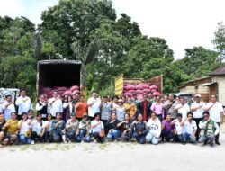 Hasil Sinergitas, Pemkab. Samosir Salurkan Bantuan Bibit Bawang Merah dan Cabai Merah