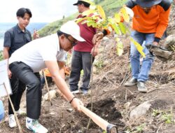 Perkuat Pelestarian Alam, Wabup Samosir Tanam Pohon di Lereng Gunung Pusuk Buhit