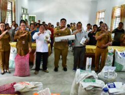 Hasil Kolaborasi Sumut Berkah, Bupati Samosir Serahkan Bantuan Bibit Pengembangan Cabai dan Bawang Merah