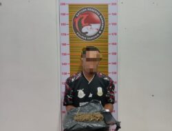 Satres Narkoba Polres Samosir Ringkus Dua Pria Pemilik Ganja di Pangururan
