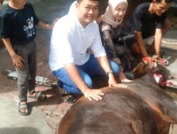 Ketua Rel MBG Sumut Sembelih Hewan Kurban di Dapur SPPG Sidorejo