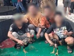 Arena Dadu & Sabung Ayam di Telaga Sari Beroperasi, Pejabat Polrestabes Bungkam, Kapolsek Sunggal Blokir WA